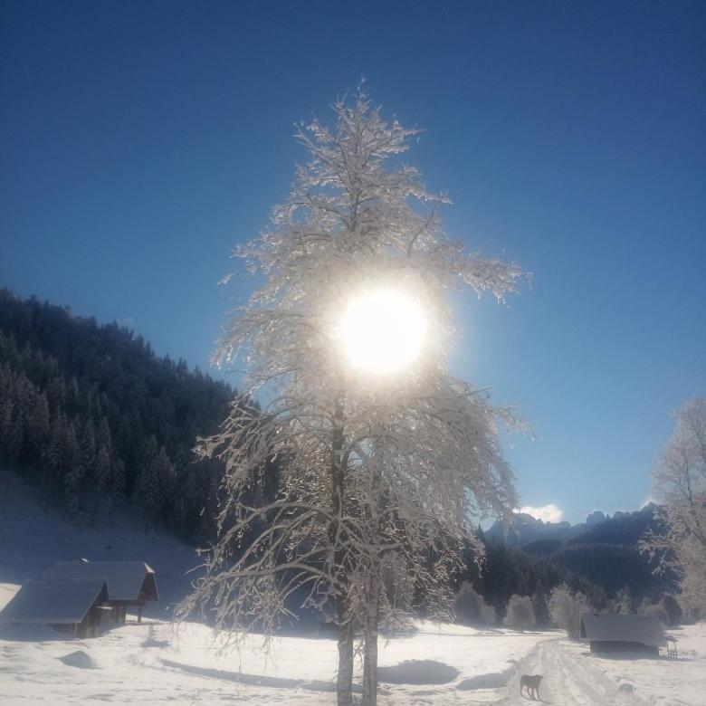 Huatscher Camporosso  エクステリア 写真